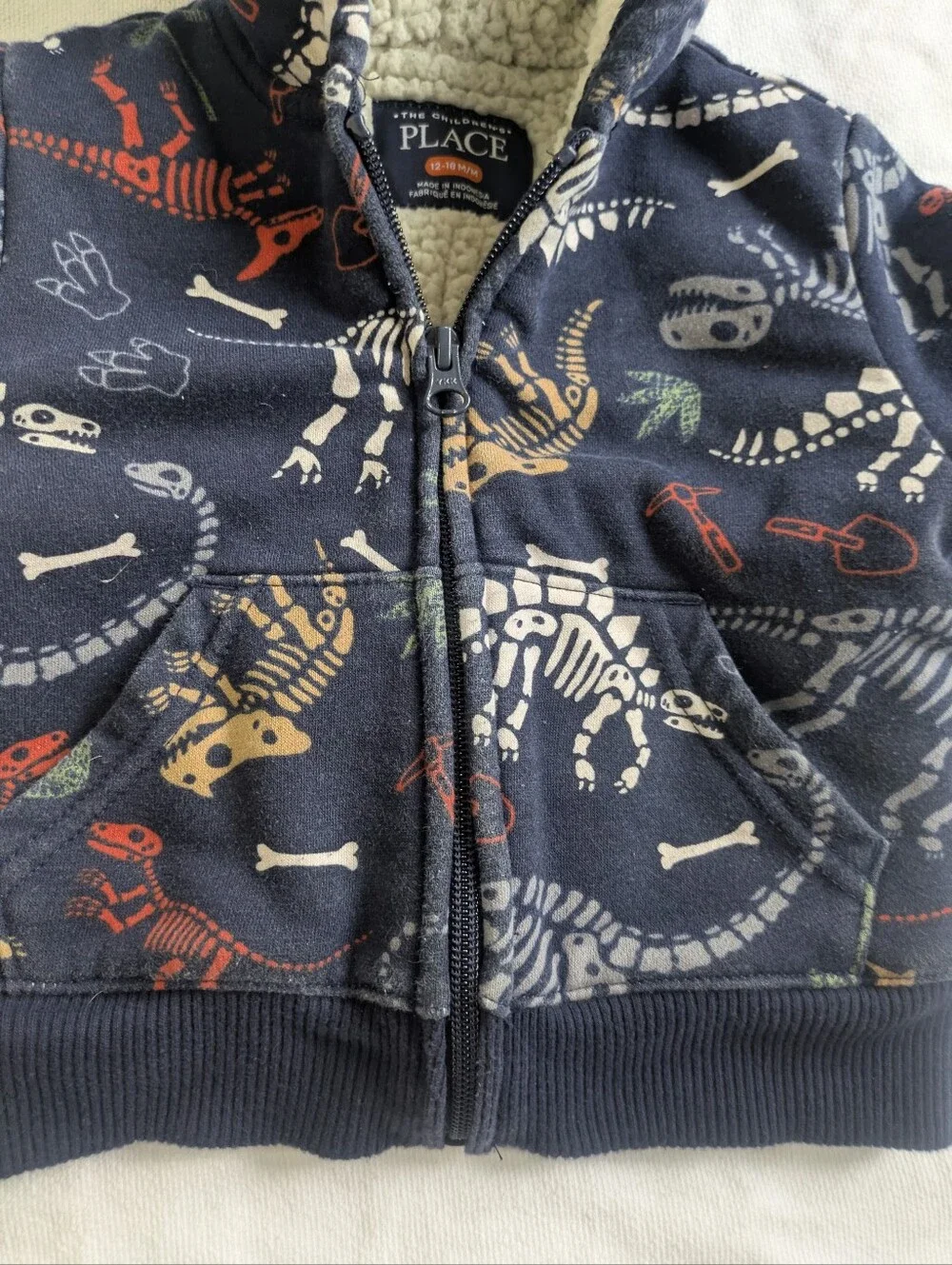 Children's Place Dinosaur Hoodie 12-18mo